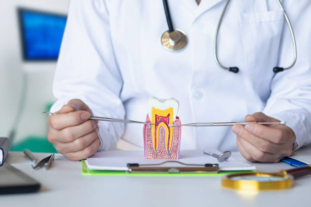 Best Emergency Dentist for Knocked-Out Tooth in Paris, TX